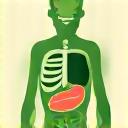 Stylized abstract icon representing a healthy digestive system or balanced nutrition.